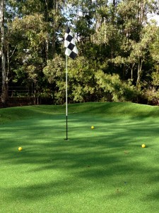 My amazing synthetic golf green